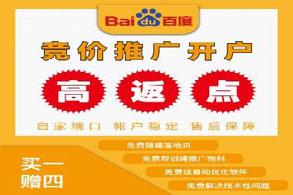 竞价推广策略：成功企业的案例分享